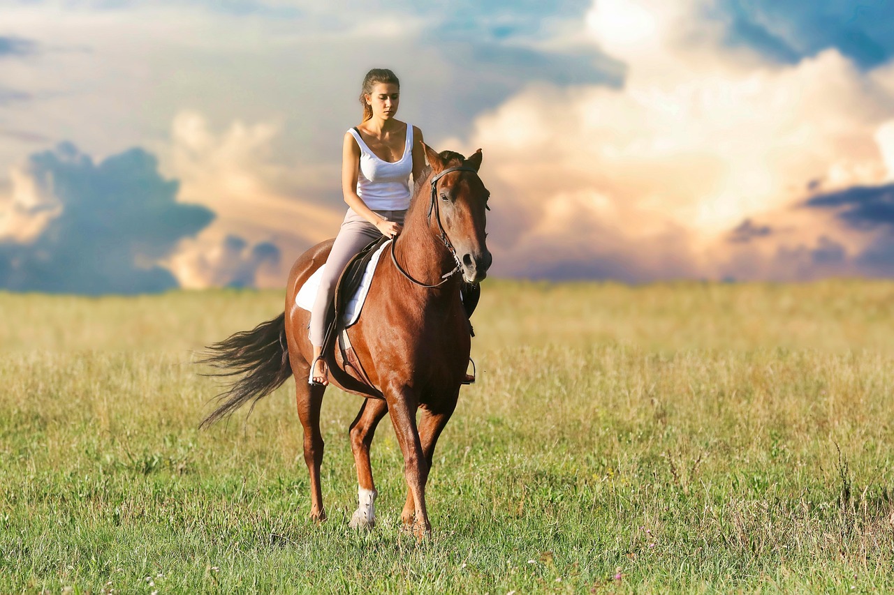 horse riding euboia island