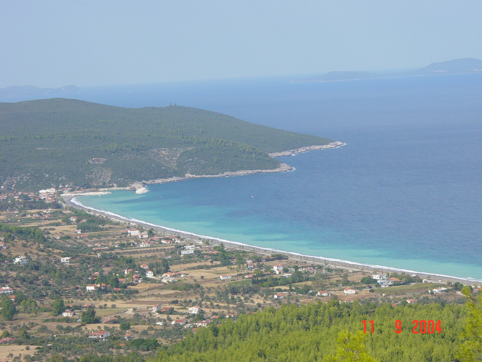ψαροπουλι παραλια