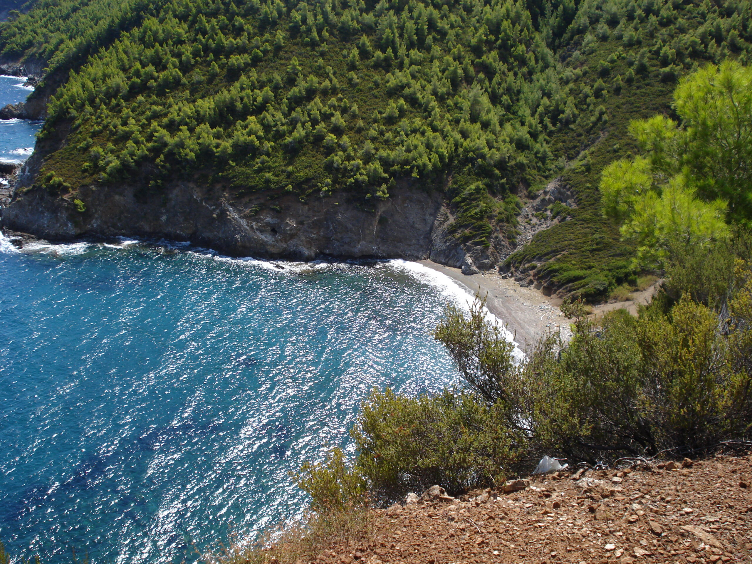 kotsikia beach
